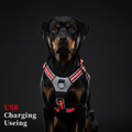 Luminous Pet Harness | Rechargeable LED Dog Harness with Adjustable Fit for Nighttime Safety