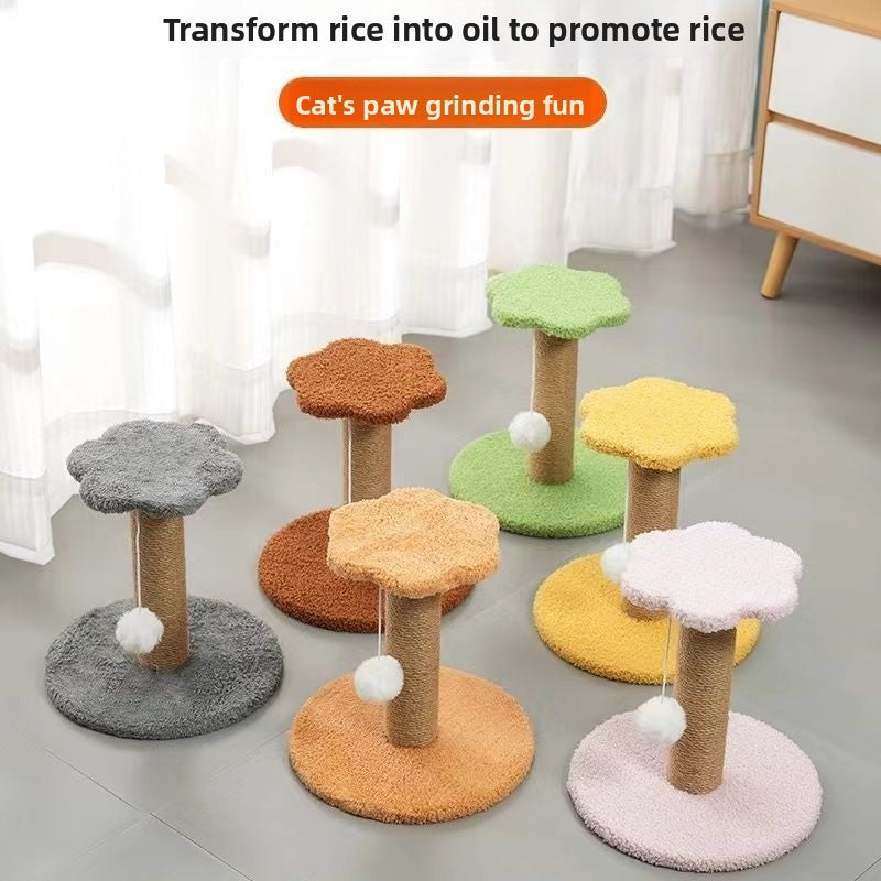 Cat Scratching Board