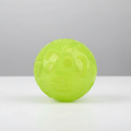 Glow Pet Toys | Interactive Squeaky Ball with Elastic Material for Safe Play