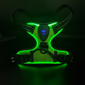 IllumiPet | LED Dog Harness with Rechargeable Type-C Charging | Adjustable Sizes for Nighttime Safety