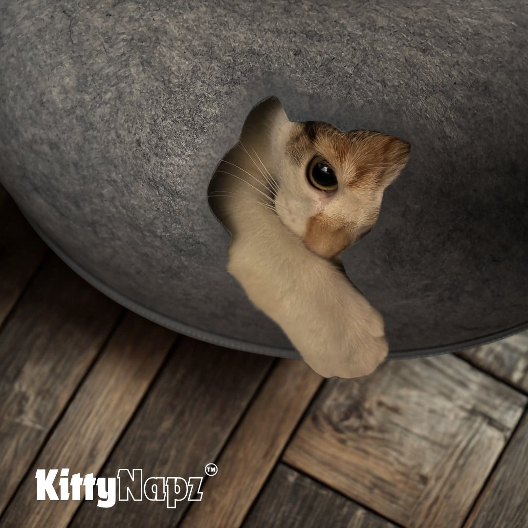 Kitty Napz | Cozy Cat Bed with Soft Plush Fabric & Supportive Design | Ideal for Rest and Relaxation 2