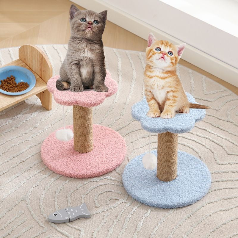 Cat Scratching Board